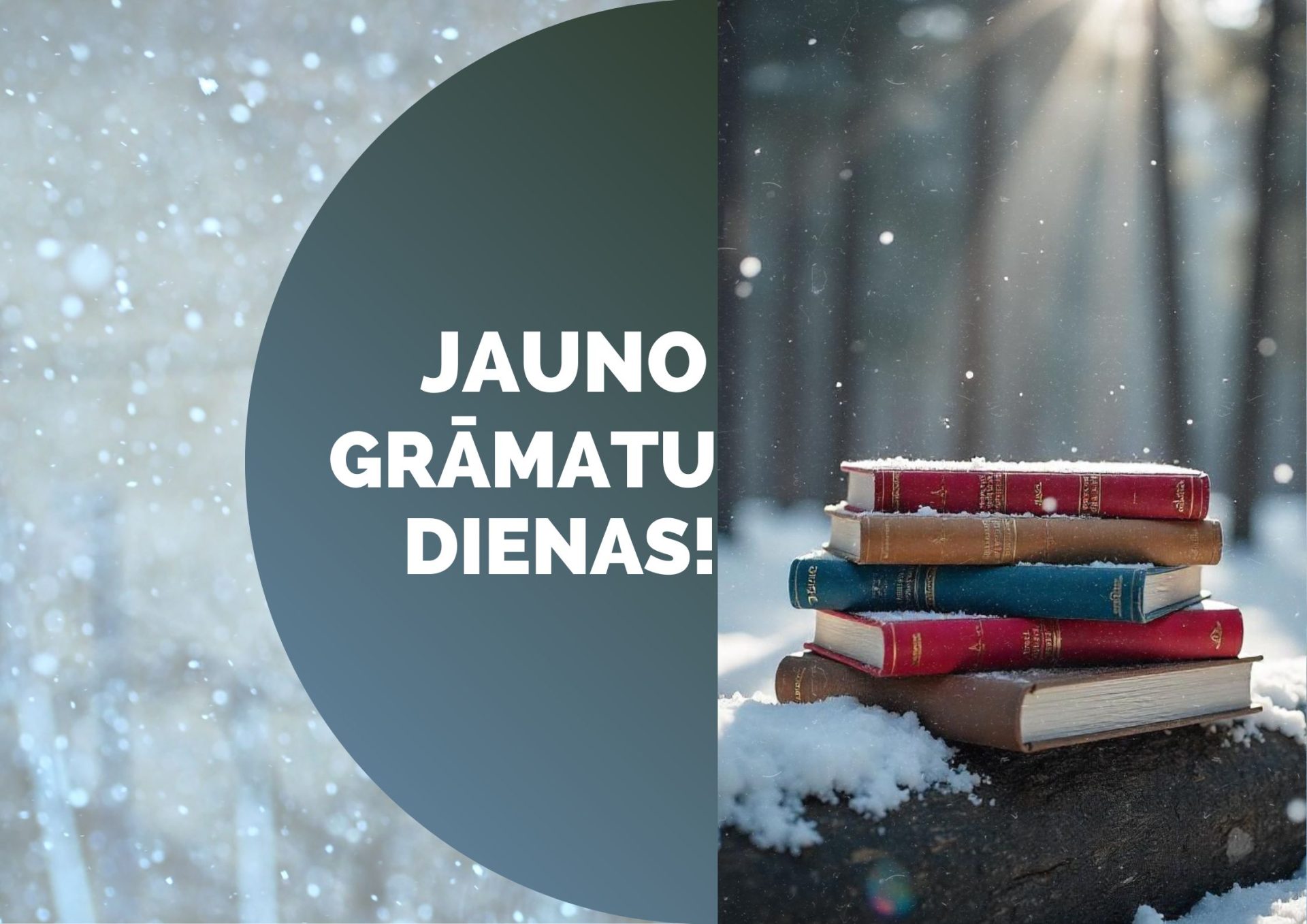 Sāc Jauno 2025. gadu ar aizraujošu lasāmvielu! – Saldus novada bibliotēka 