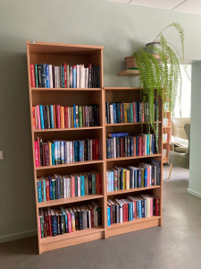 Attēlā redzami divi blakus novietoti koka grāmatu plaukti, pilni ar krāsainām grāmatām vairākos līmeņos. Pie otrā plaukta augšdaļas redzams liels nokarens telpaugs. Fons ir gaiši zaļš, un pa labi redzama neliela atpūtas zona ar krēslu.